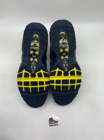 Nike Air Max 95 SB Eric Koston Obsidian Speed Yellow