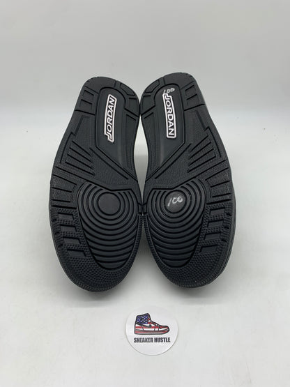Jordan 3 Retro Black Cat (2025)