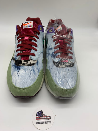 Nike Air Max 1 SP Concepts Mellow