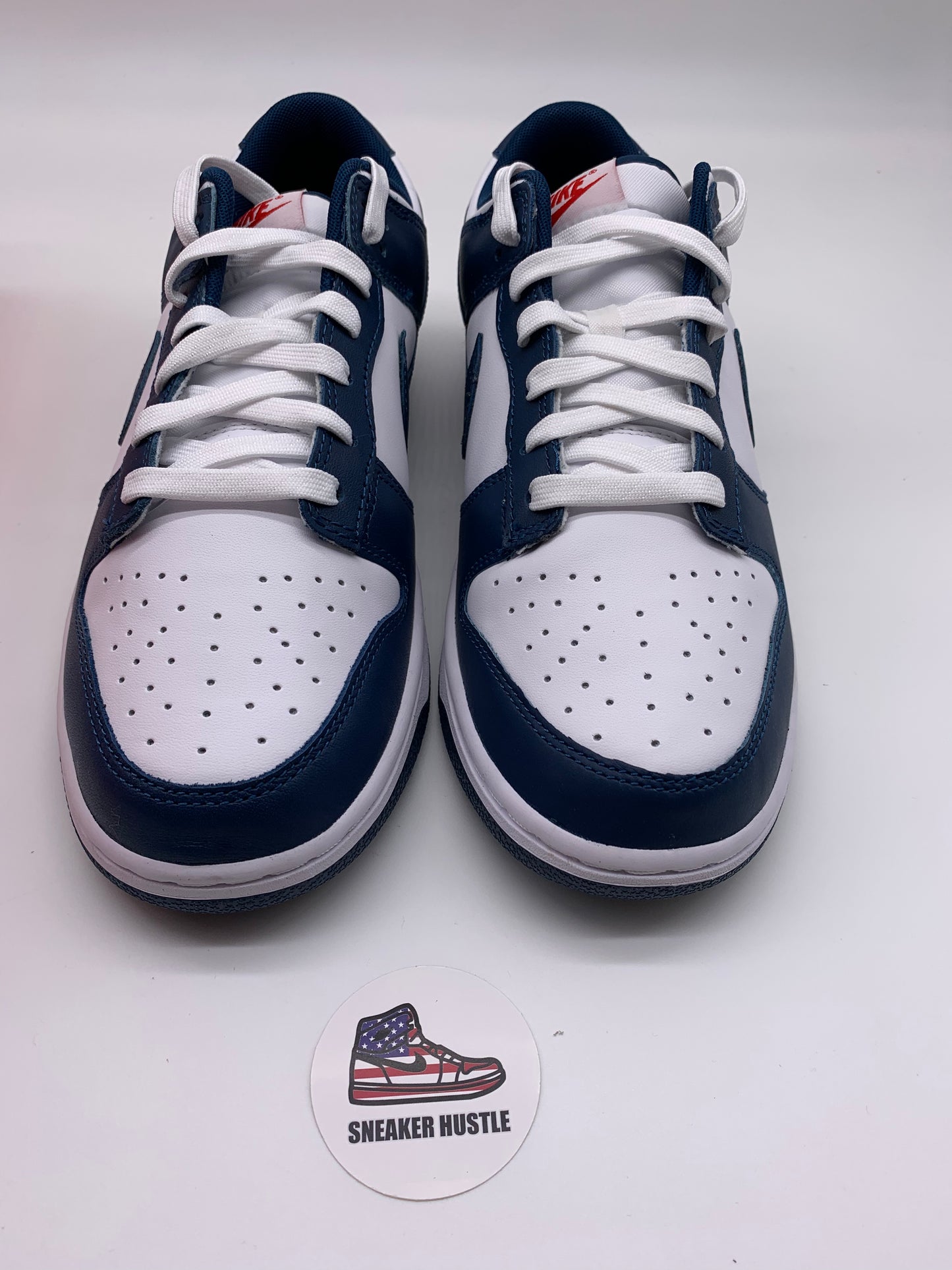Nike Dunk Low Valerian Blue