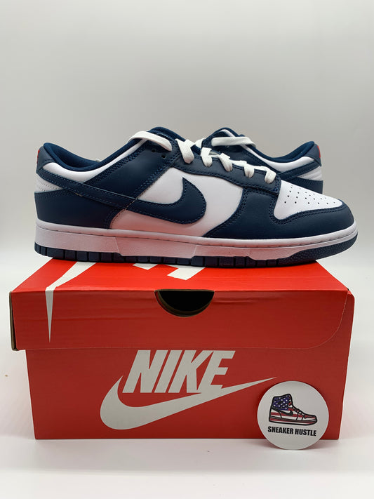 Nike Dunk Low Valerian Blue